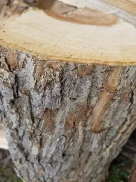 [Hearth.com] Is this oak?
