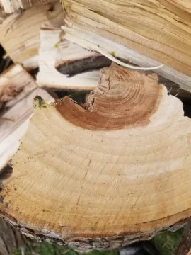 [Hearth.com] Is this oak?