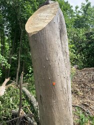 Ever source drop. Wood is.