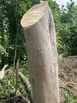 [Hearth.com] Ever source drop. Wood is.