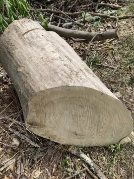 [Hearth.com] Ever source drop. Wood is.