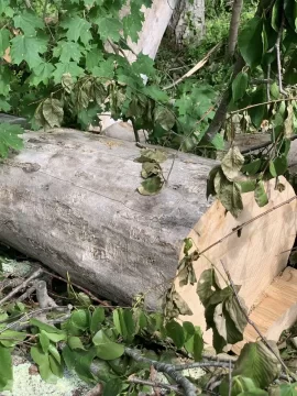 [Hearth.com] Ever source drop. Wood is.