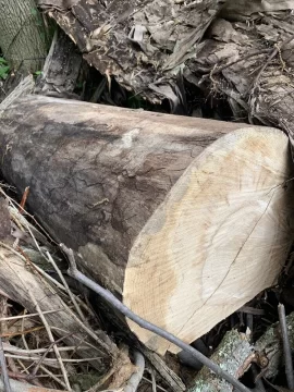 [Hearth.com] Ever source drop. Wood is.