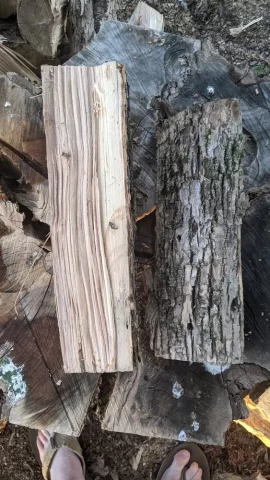 Wood ID - told it was ash?