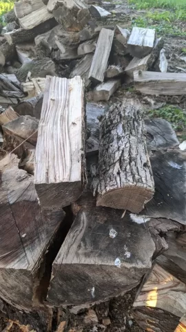 Wood ID - told it was ash?