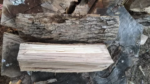 Wood ID - told it was ash?