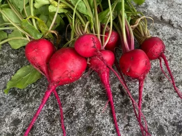 beets.jpg