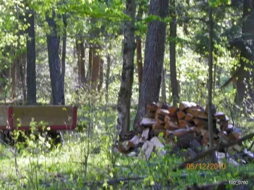 [Hearth.com] Swamp Cherry!