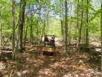 [Hearth.com] Cleaning Up of the New Lane Done!