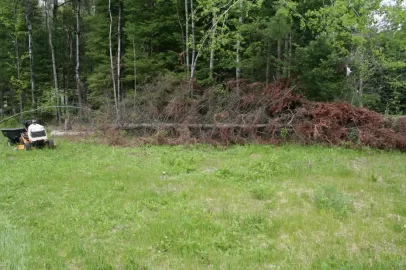 [Hearth.com] Tree down
