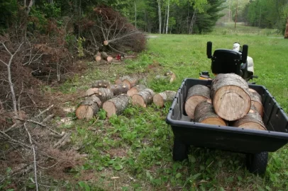 [Hearth.com] Tree down