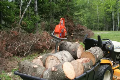 [Hearth.com] Tree down