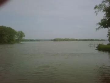 [Hearth.com] A view from the doc.