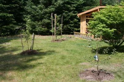 [Hearth.com] My little apple orchard
