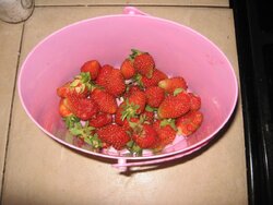 Memorial Day strawberry remains.jpg