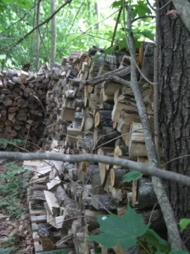 [Hearth.com] RE: As promised . . . my ugly stacks of wood