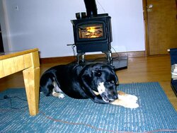 My hopes for a wood stove. (Help!)