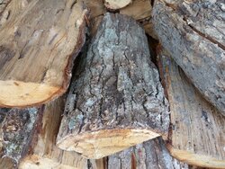 Wood Drying Opinions