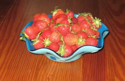 [Hearth.com] harvest stuff