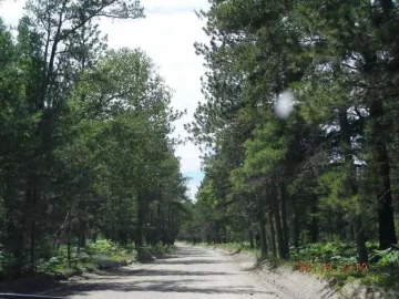 [Hearth.com] Saturday Drive
