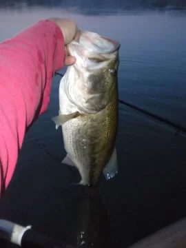 [Hearth.com] NJ Bass by kayak and a Fawn