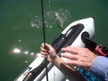 [Hearth.com] My boys first trip to "The Slip" fishing