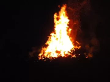 [Hearth.com] Bonfire