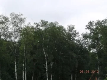 [Hearth.com] A bad day of fishing.....