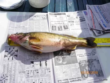 [Hearth.com] Walleye from the St.Lawrence River