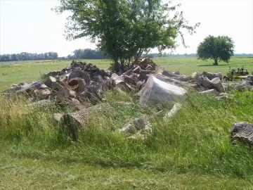 [Hearth.com] Trees going in - instead of out!