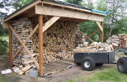 [Hearth.com] Started on wood shed