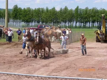 [Hearth.com] 2010 Tupper Lake Woodsmen’s Days Pictures