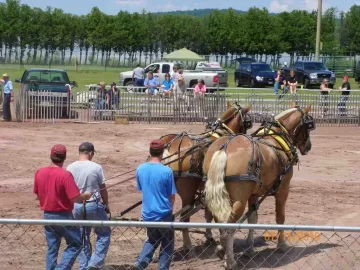[Hearth.com] 2010 Tupper Lake Woodsmen’s Days Pictures