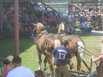 [Hearth.com] 2010 Tupper Lake Woodsmen’s Days Pictures