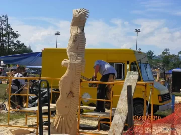 [Hearth.com] Chainsaw Carving and Signs.