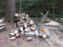 Pallet sawbuck, pine, seasoning stacks