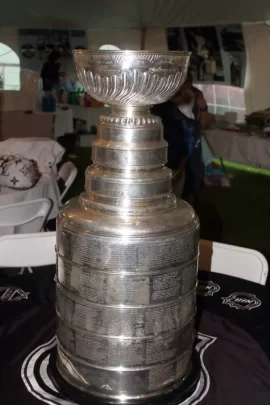 Stanley Cup Champs in 2020