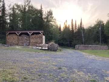 Wood shed dimensions?