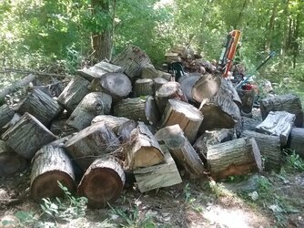 load of oak.jpeg