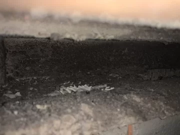 [Hearth.com] How do I safely try my wood stove?