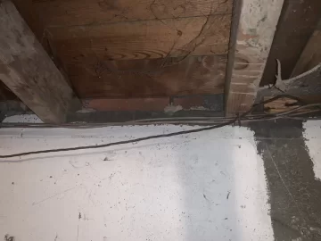 [Hearth.com] Shopping a used wood stove