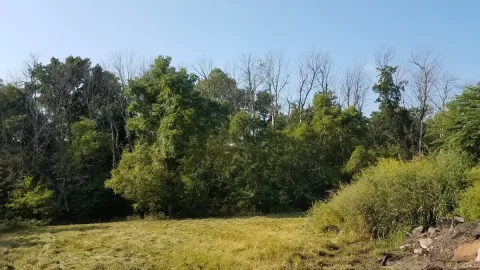 20210914_100358.jpg 20210914_100358.jpg