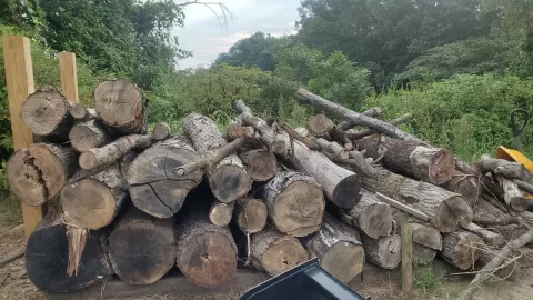 [Hearth.com] How do you manage overgrowth near wood piles? Tips and tricks.