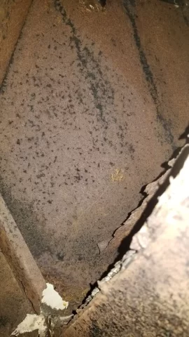 [Hearth.com] Floridian looking for insert guidance.....