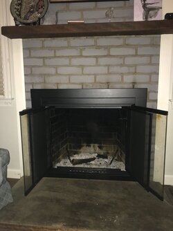 Recommendation for wood burning insert