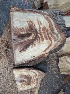 [Hearth.com] Tiger print...