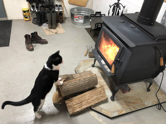 Earth stove and pet protection