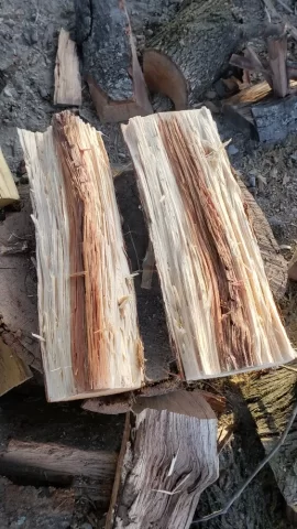 Help with wood ID