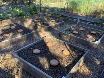 2021 Garden Thread