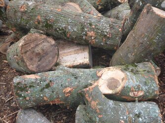 Need a splitter, way in over my head with monster oak logs